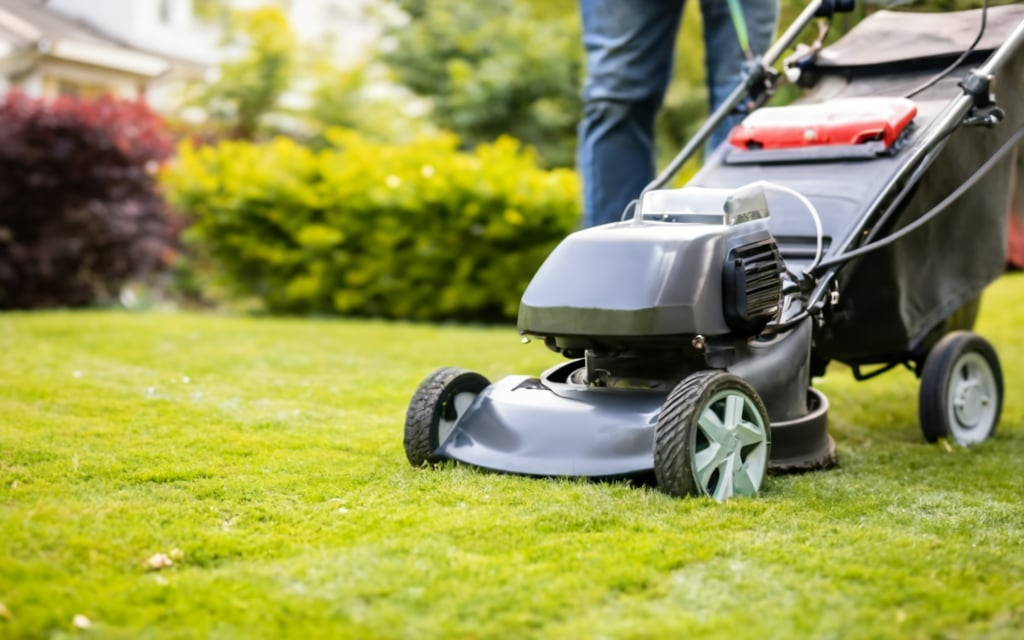 What Steps Are Involved in a Comprehensive Lawn Maintenance Plan?