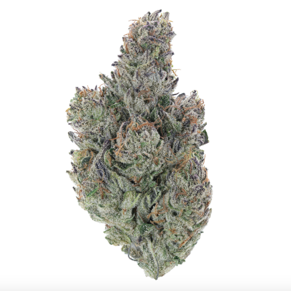 The Natural Appeal of THCa Flower in Today’s Wellness Trends